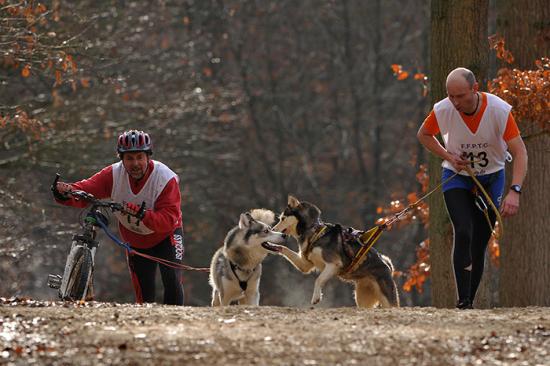 Championnat 2011 - Cani-Cross